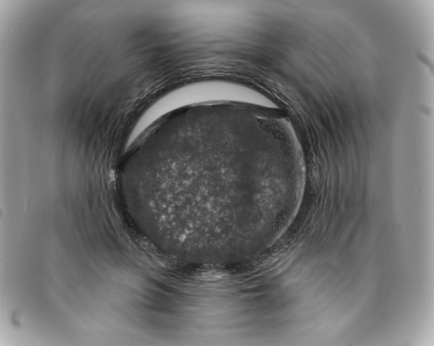 X0000096470551200802071859