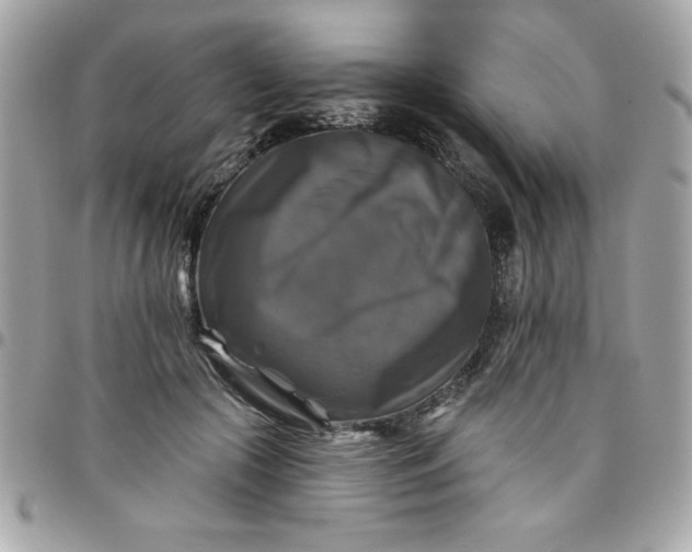 X0000096470553200802071859