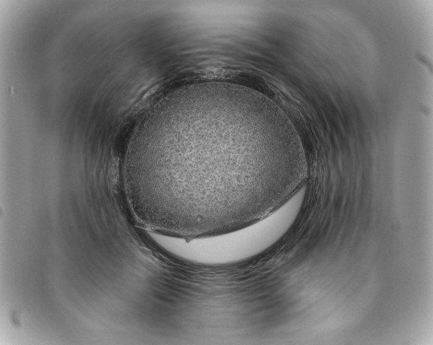 X0000096470554200802071859