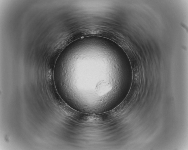 X0000096470555200802071859