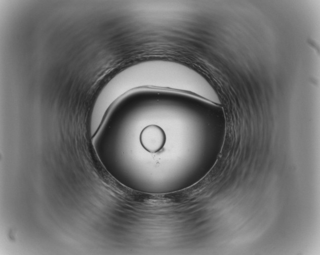 X0000096470556200802071859