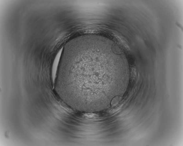 X0000096470557200802071859