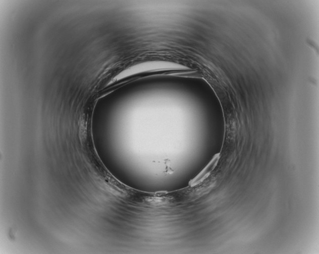 X0000096470558200802071859