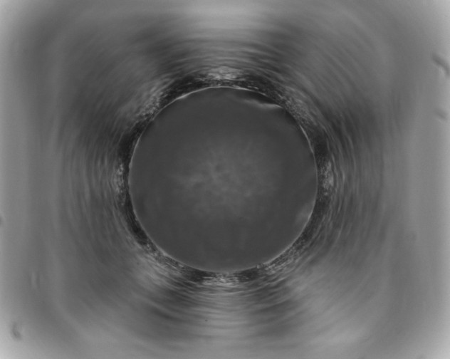 X0000096470559200802071859