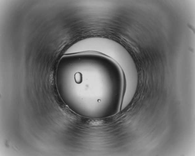 X0000096470560200802071859