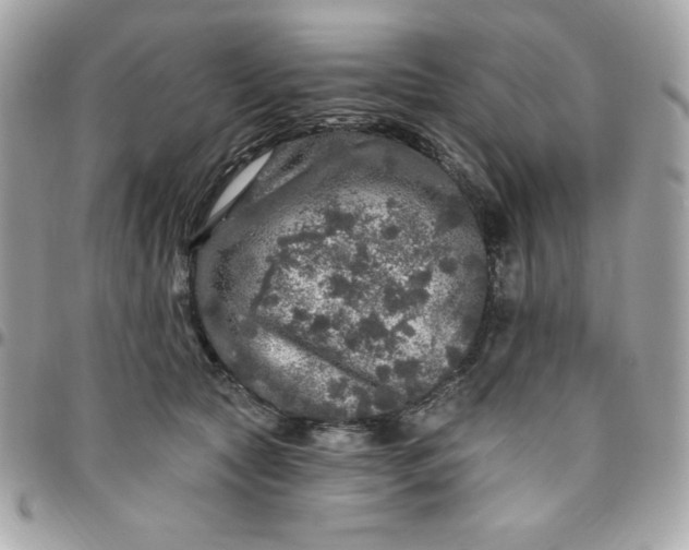 X0000096470561200802071859