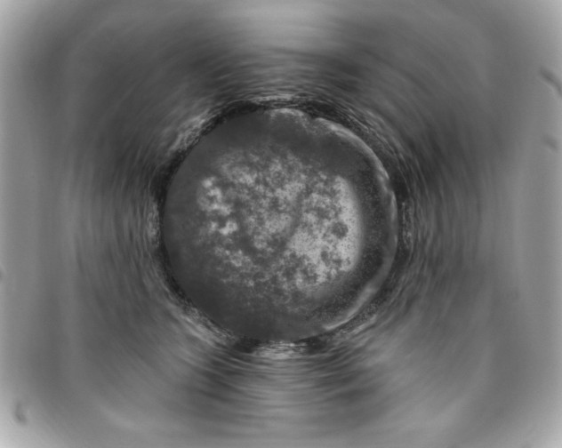 X0000096470563200802071859