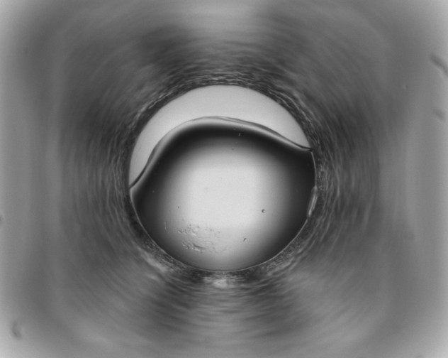 X0000096470564200802071859