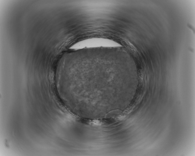 X0000096470565200802071859