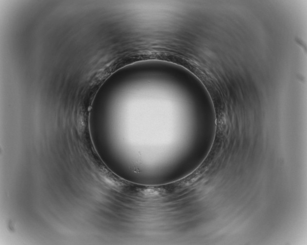 X0000096470566200802071859