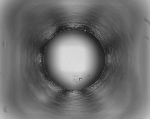 X0000096470567200802071859