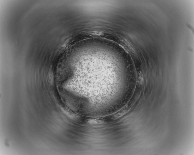 X0000096470568200802071859