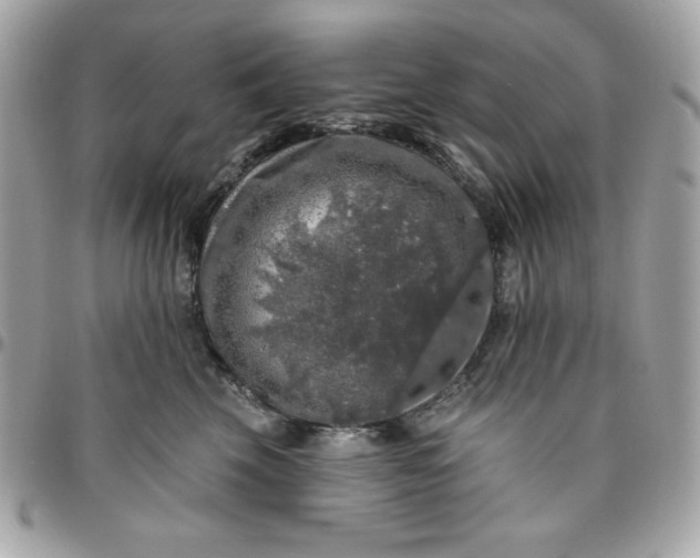 X0000096470569200802071859