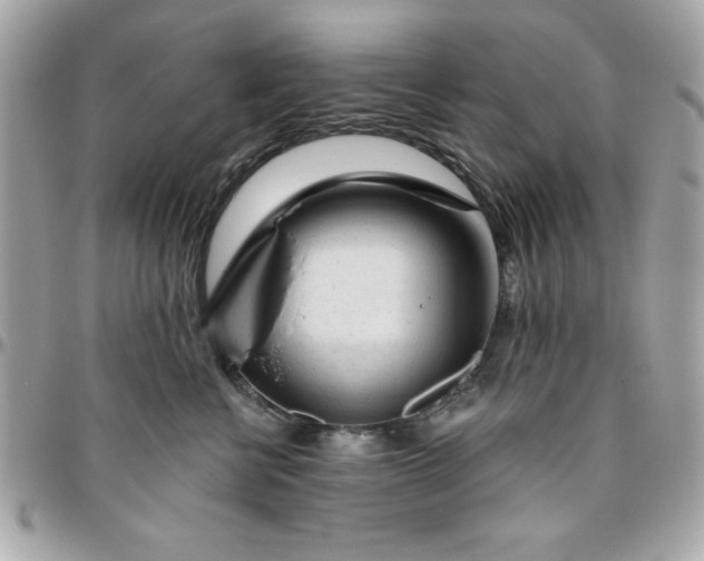 X0000096470570200802071859