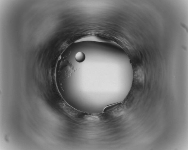 X0000096470572200802071859