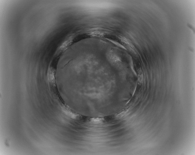 X0000096470573200802071859