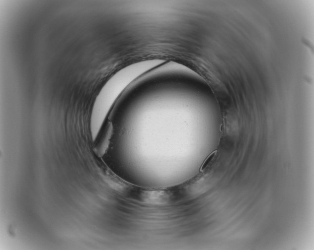 X0000096470575200802071859