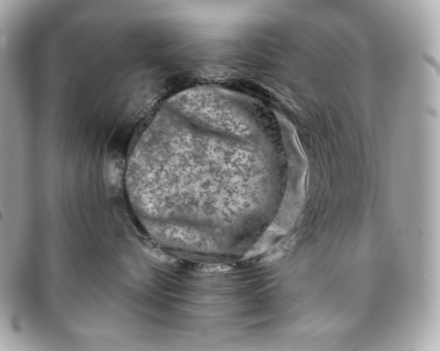 X0000096470576200802071859