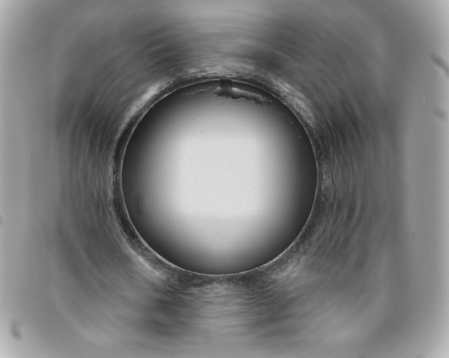 X0000096470578200802071858