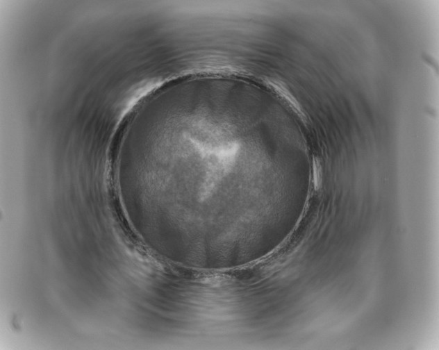 X0000096470579200802071858