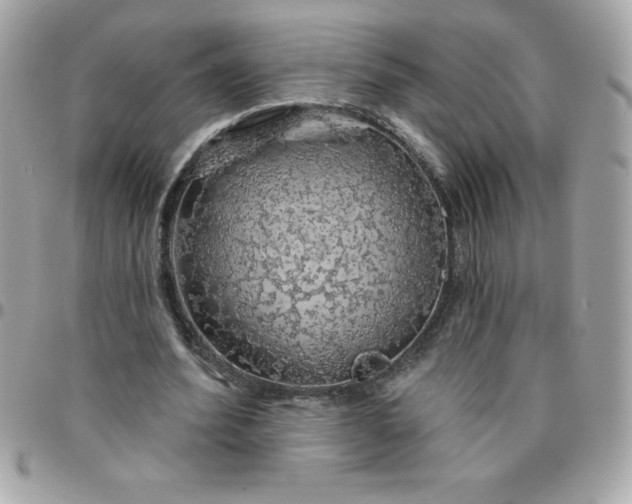 X0000096470580200802071858