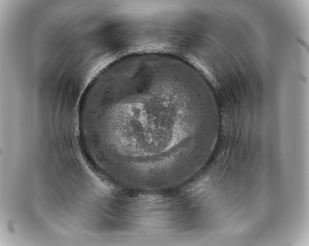 X0000096470582200802071858