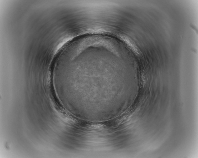 X0000096470583200802071858