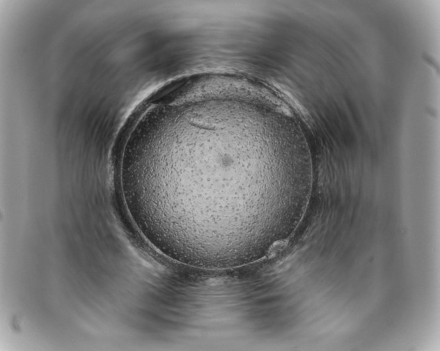 X0000096470584200802071858