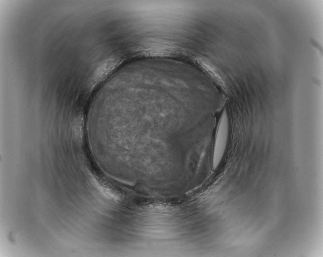 X0000096470586200802071858