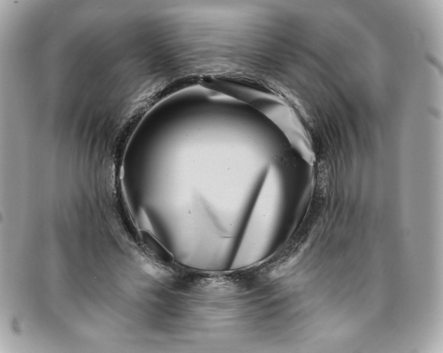 X0000096470589200802071858