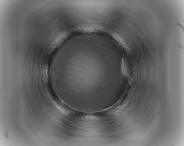 X0000096470590200802071858