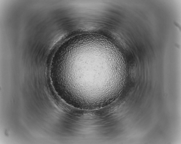 X0000096470591200802071858