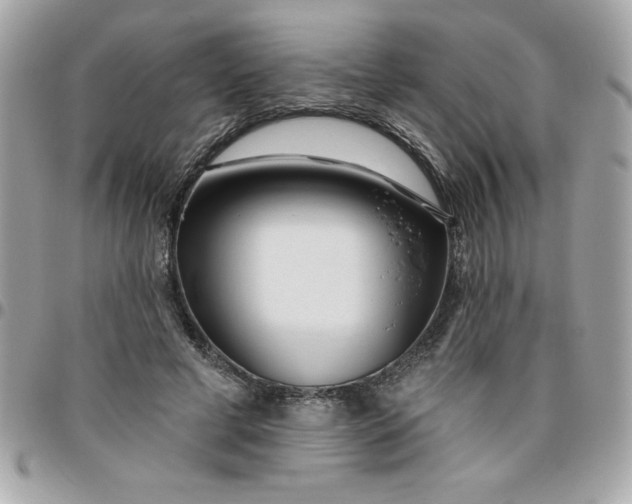 X0000096470593200802071858