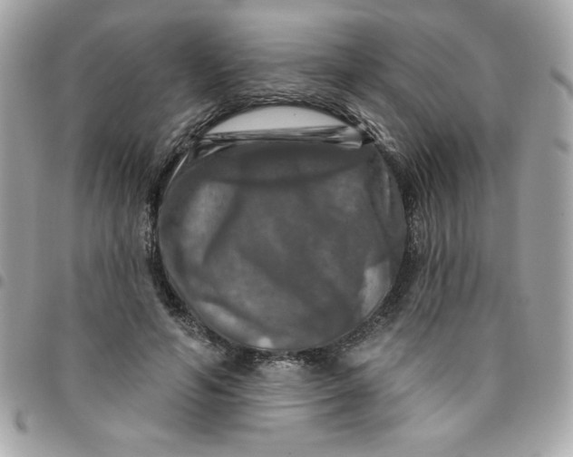 X0000096470594200802071858