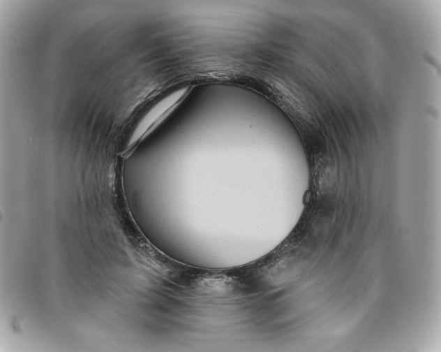 X0000096470595200802071858