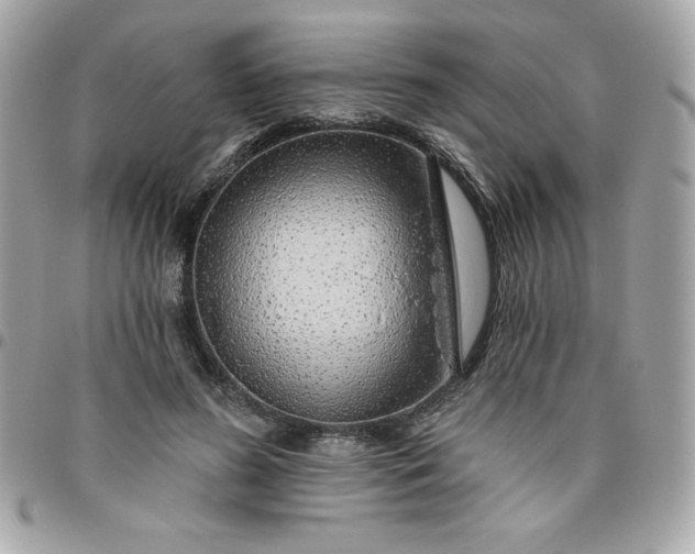 X0000096470596200802071858