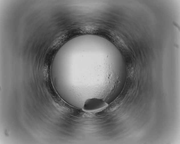 X0000096470599200802071858