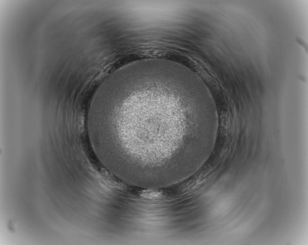 X0000096470602200802071858