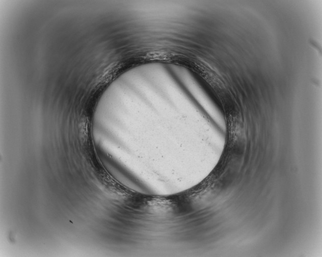 X0000096470603200802071858