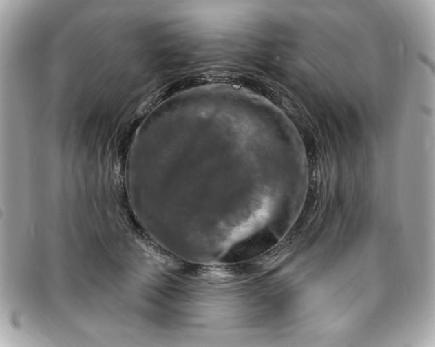 X0000096470610200802071858