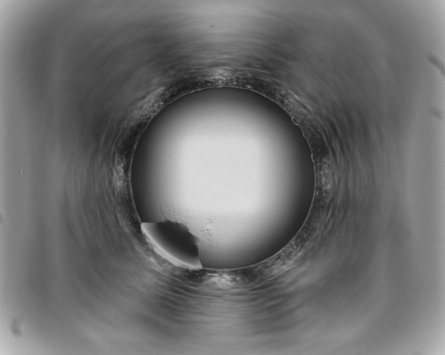 X0000096470611200802071858