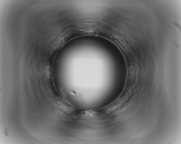 X0000096470612200802071858