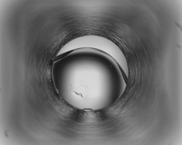 X0000096470613200802071858