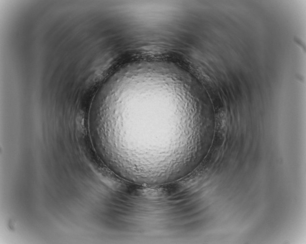 X0000096470615200802071858