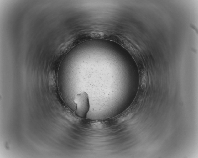 X0000096470616200802071858