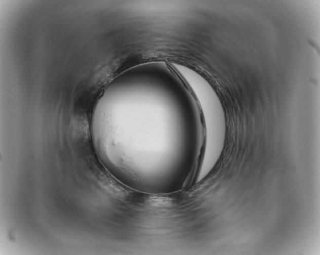 X0000096470617200802071858