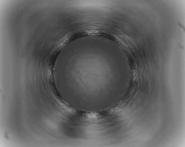 X0000096470618200802071858