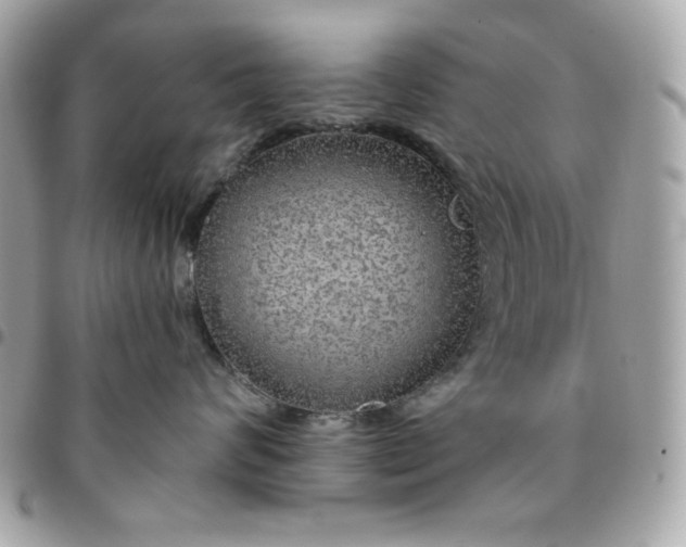 X0000096470624200802071858