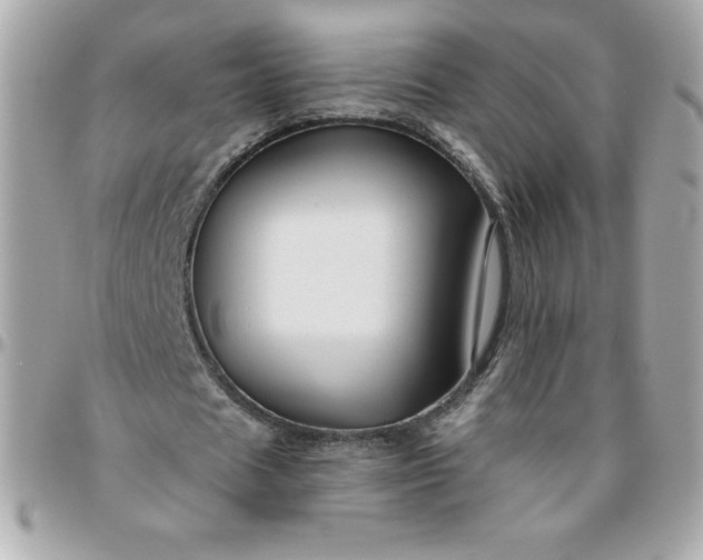 X0000096470625200802071857