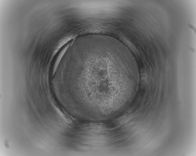 X0000096470626200802071857